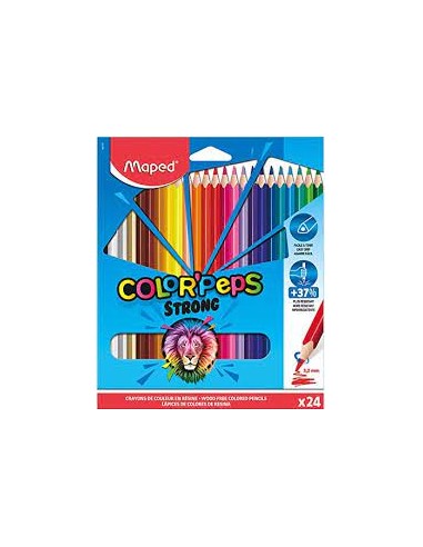 CF24 Multicolor 24 pieza(s)