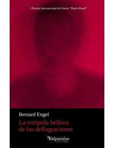 La estupida belleza de las deflagraciones