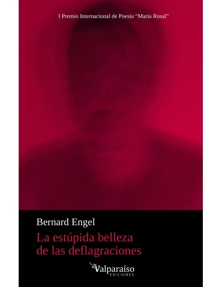 La estupida belleza de las deflagraciones