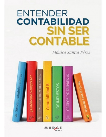 ENTENDER CONTABILIDAD SIN SER