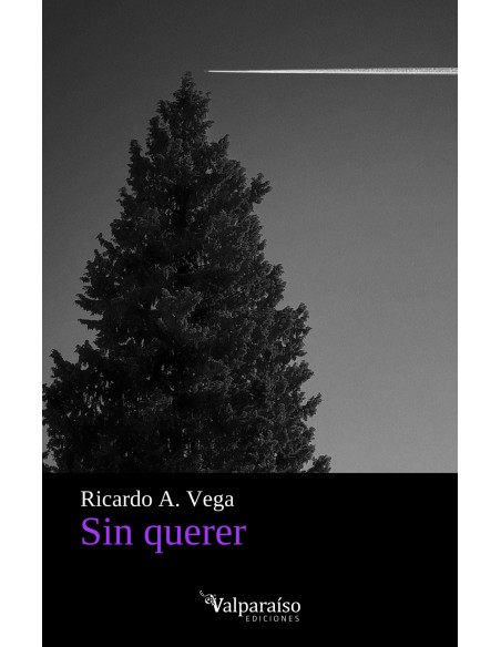 SIN QUERER
