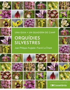 Orquidies silvestres