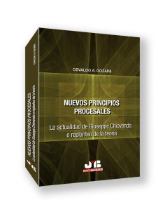 Nuevos principios procesales