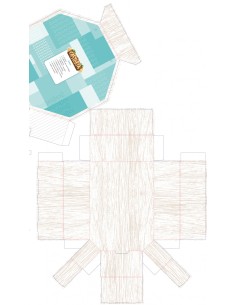 CASTORIA 5 ANOS INTEGRADO 2022