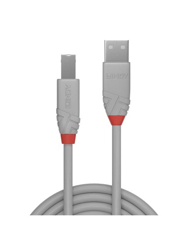 36683 cable USB 2 m USB 2.0 USB A USB B Gris