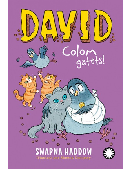 David Colom Gatets David Colom Gatets