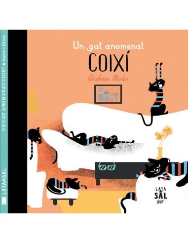 UN GAT ANOMENAT COIXI