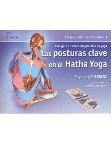 Las posturas clave en el Hatha Yoga