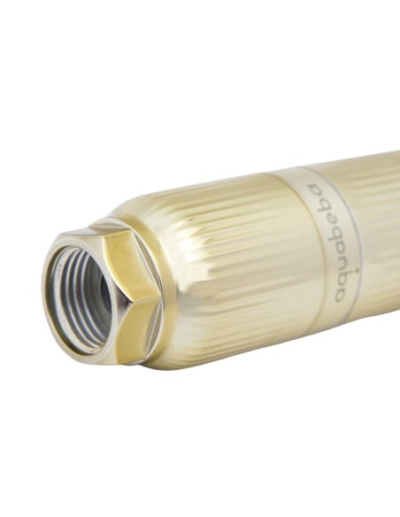 AQUAFILTER Filtro de ducha Dorado