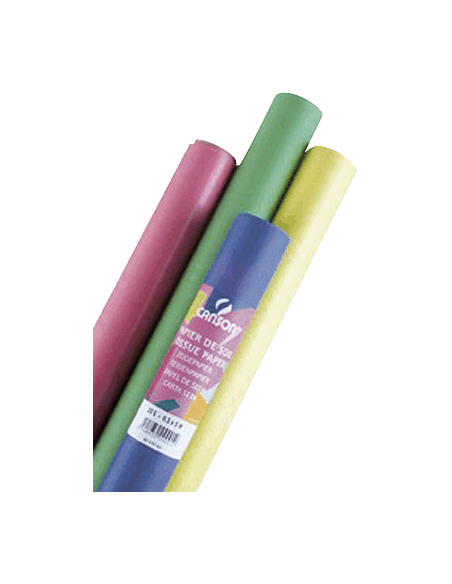 CAN ROLLO PAPEL SEDA 0.5X5M.NG 992671 992671 - Pack de 10 unidades