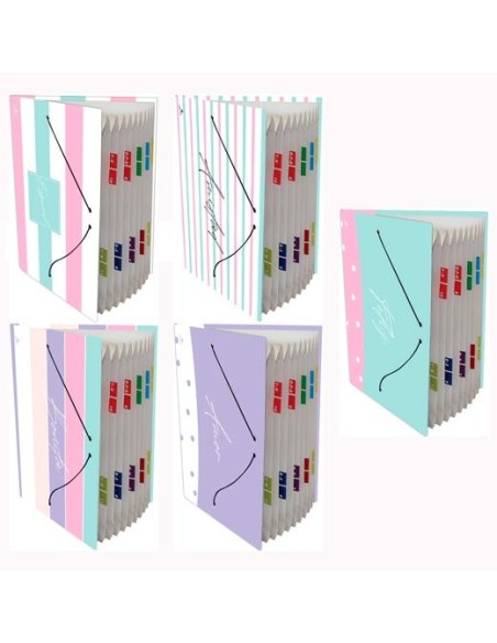 MARIOLA CARPETA FUELLE ACORDEÓN 12 C/GOMA FOLIO CARTÓN FORRADO PLASTIFICADO DISEÑOS SURTIDOS