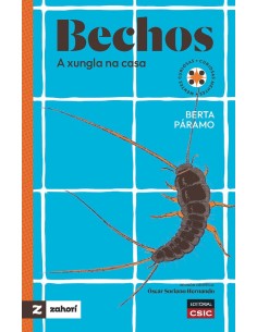 Bechos a xungla na casa