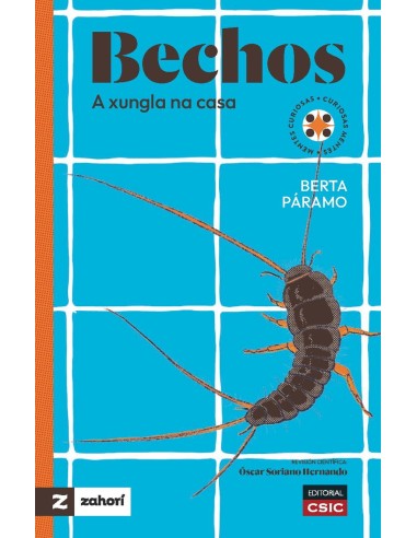 Bechos a xungla na casa