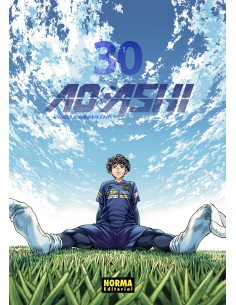 AO ASHI 30