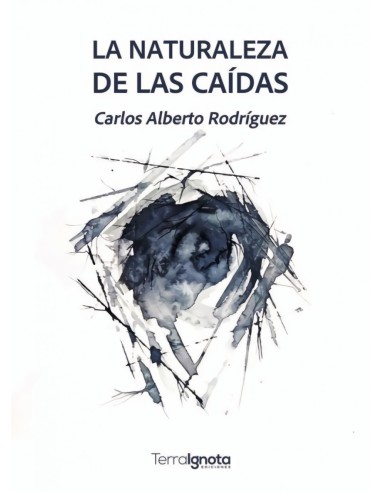 NATURALEZA DE LAS CAIDAS LA