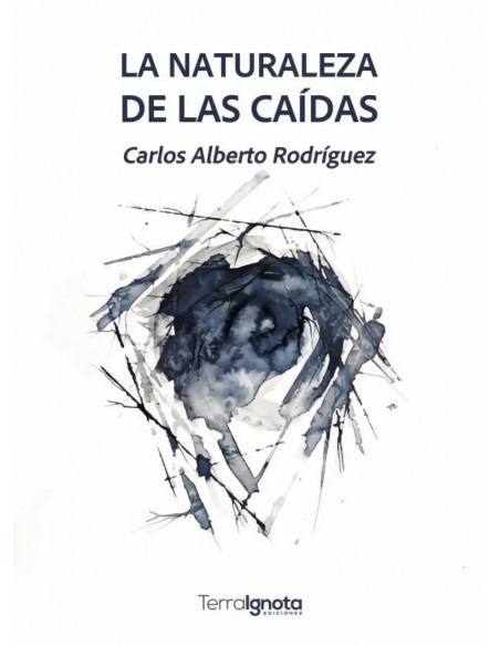 NATURALEZA DE LAS CAIDAS LA