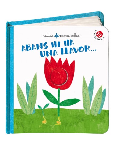 Abans hi ha una llavor