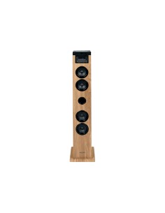 DS122CD sistema de audio para el hogar Torre de sonido para uso doméstico 10 W Negro, Madera