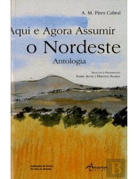 Aqui e Agora Assumir o Nordeste