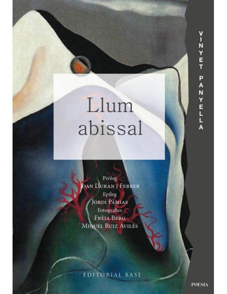 Llum abissal