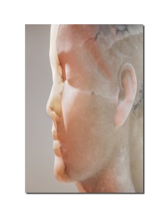 Jaume Plensa Inner Matter Materia Interior