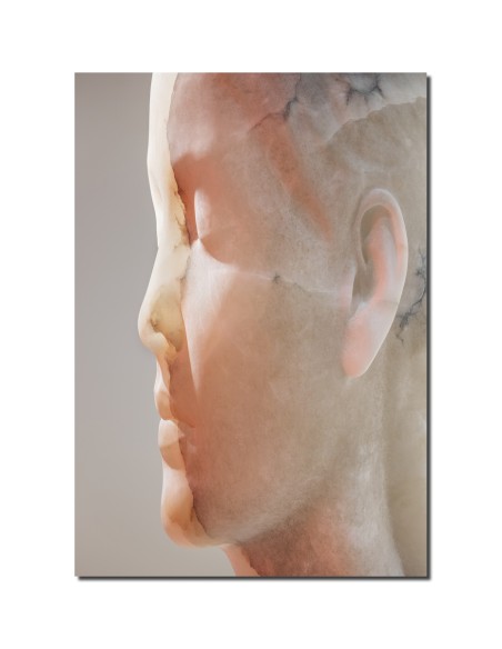 Jaume Plensa Inner Matter Materia Interior