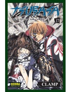 Tsubasa reservoir chronicle 17