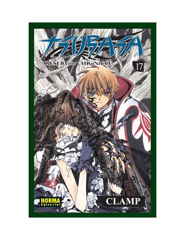 Tsubasa reservoir chronicle 17