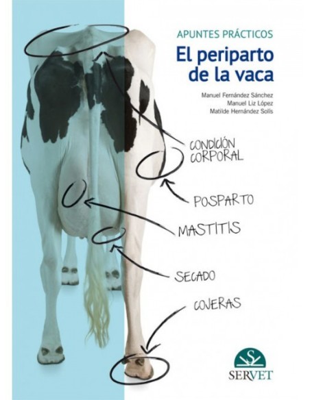 El periparto parto de la vaca