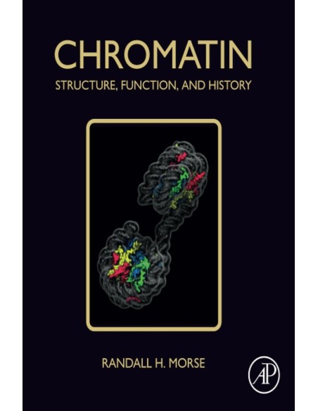 CHROMATIN STRUCTURE FUNCTION AND HISTORY