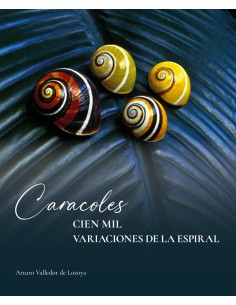 Caracoles Cien mil variaciones de la espiral