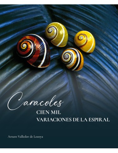 Caracoles Cien mil variaciones de la espiral