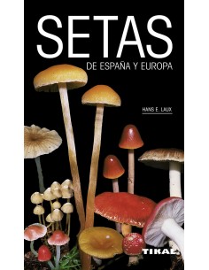 Setas de Espana y Europa