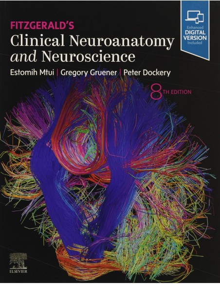 Fitzgeralds clinical neuroanatomy and neuroscience