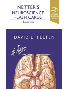 Netters neuroscience flash cards