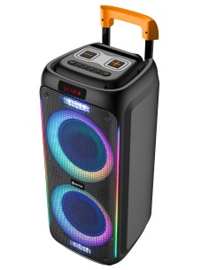 TSP-456 Altavoz para fiestas Negro 60 W