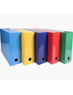 89920E caja archivador Multicolor Caja de cartón