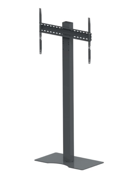 Window Stand 165,1 cm (65") Negro