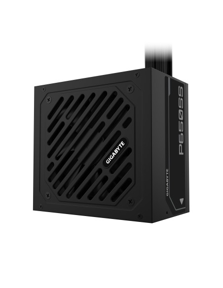 P650SS unidad de fuente de alimentación 650 W 20+4 pin ATX ATX Negro