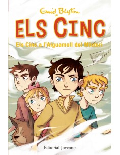 Els cinc a laiguamoll del misteri