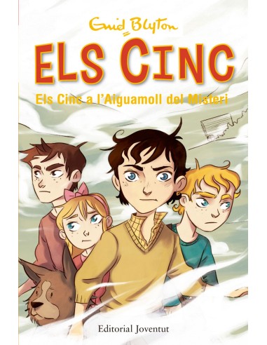 Els cinc a laiguamoll del misteri