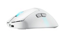 Icecat