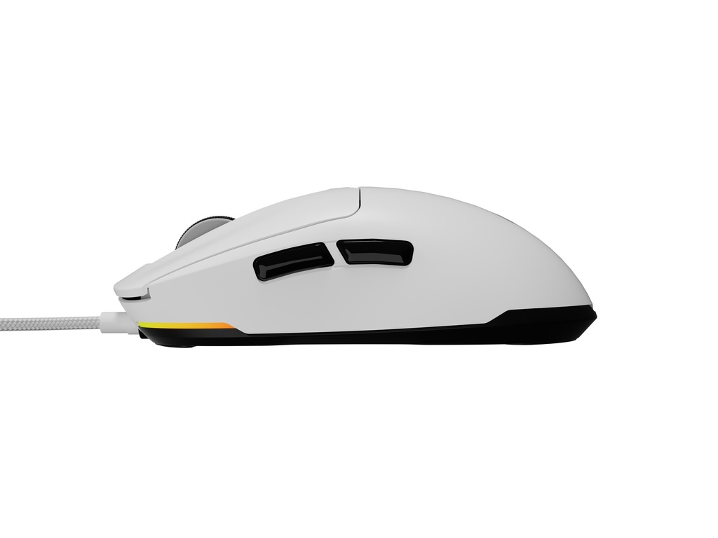 Icecat