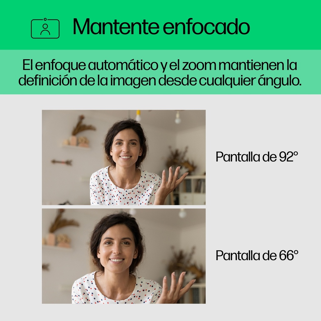 Icecat
