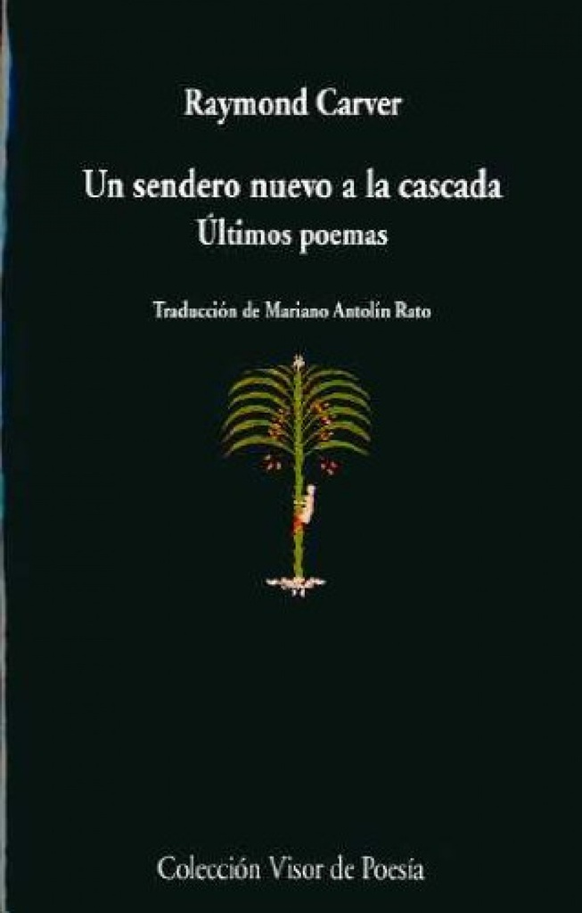 Un sendero nuevo a la cascada