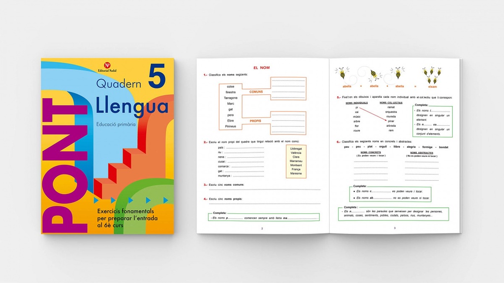 Pont, llengua, 5 Educació Primària