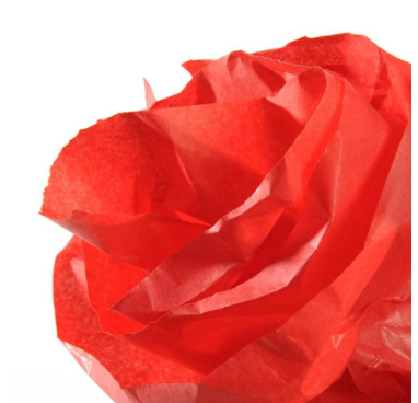 [C200992662] ROLLO PAPEL SEDA 50X500CM 20G ROJO CANSON
