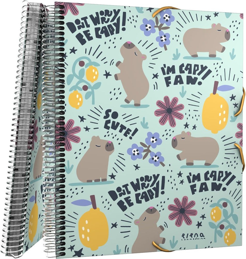 CARPETA FUNDAS CARPETA FUNDAS MAXIPLAS PP 30F EC CHEERFUL 25,5x31x1,6cm