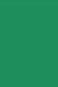 Paq/50 cartulinas a4 verde abeto iris