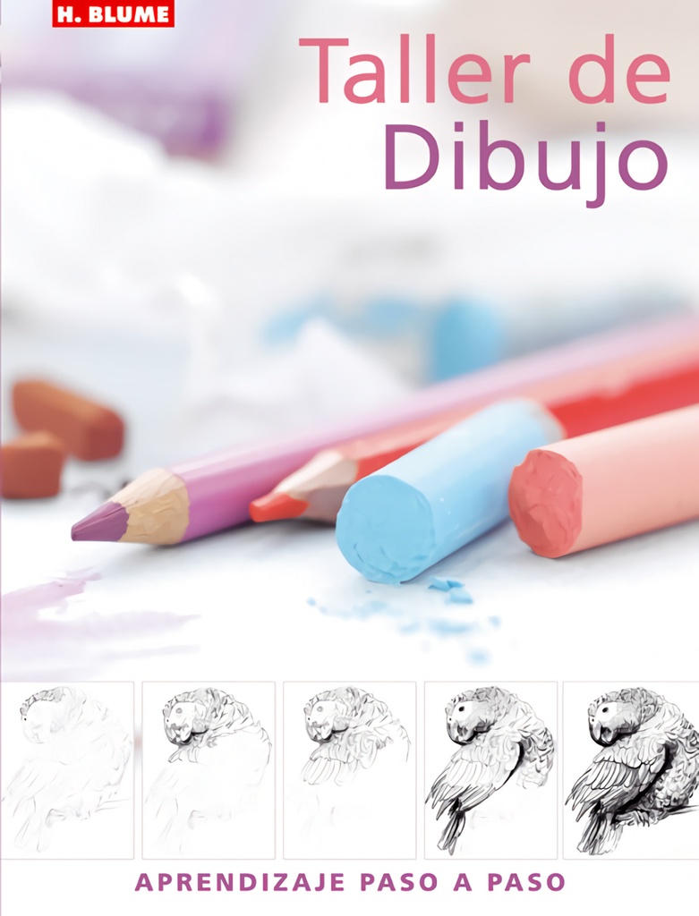 Taller de dibujo